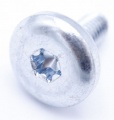 Bosch Screw - Screw